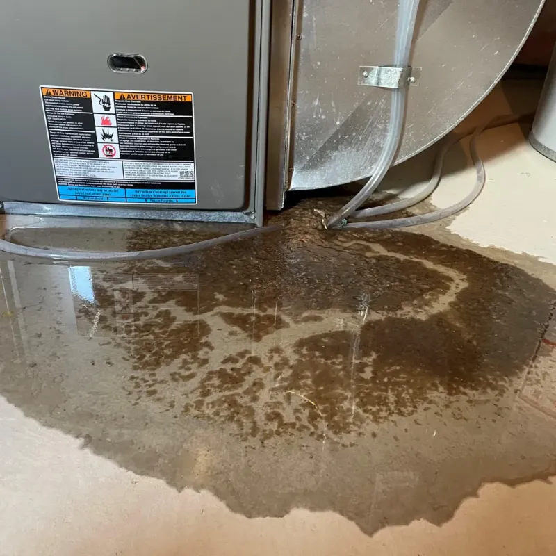 Appliance Leak Cleanup in Elkview, WV