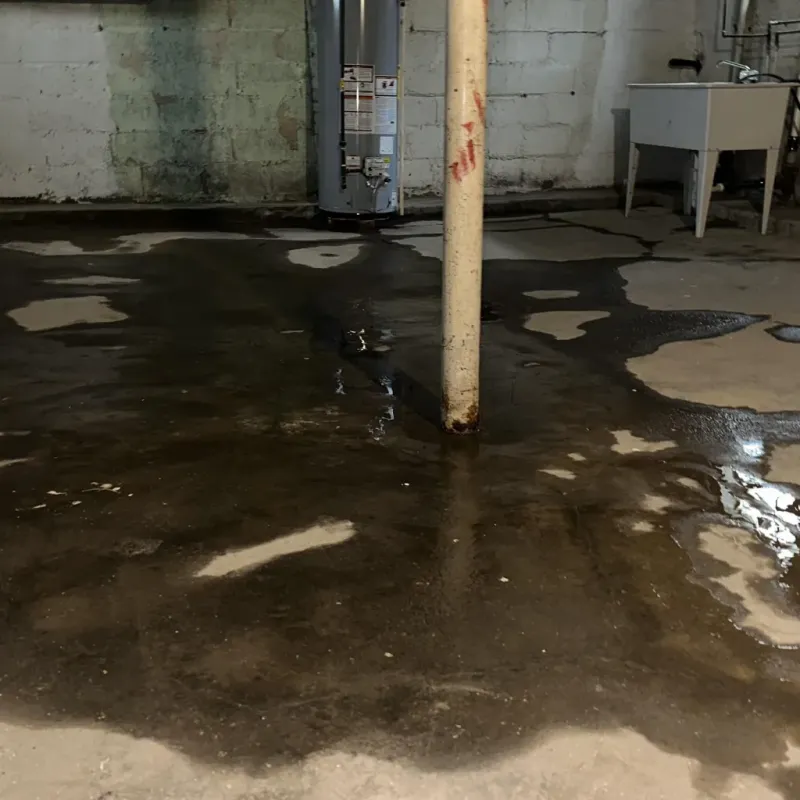Emergency Water Extraction And Removal in Elkview, WV